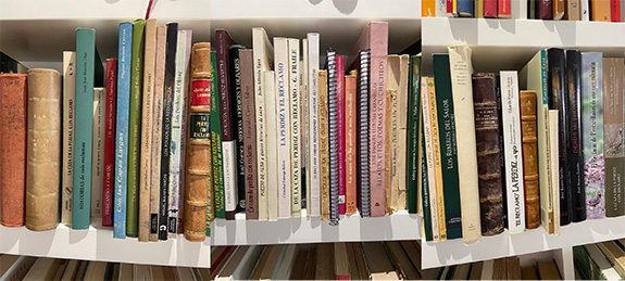 Libros de reclamo en Trofeo caza y conservacion