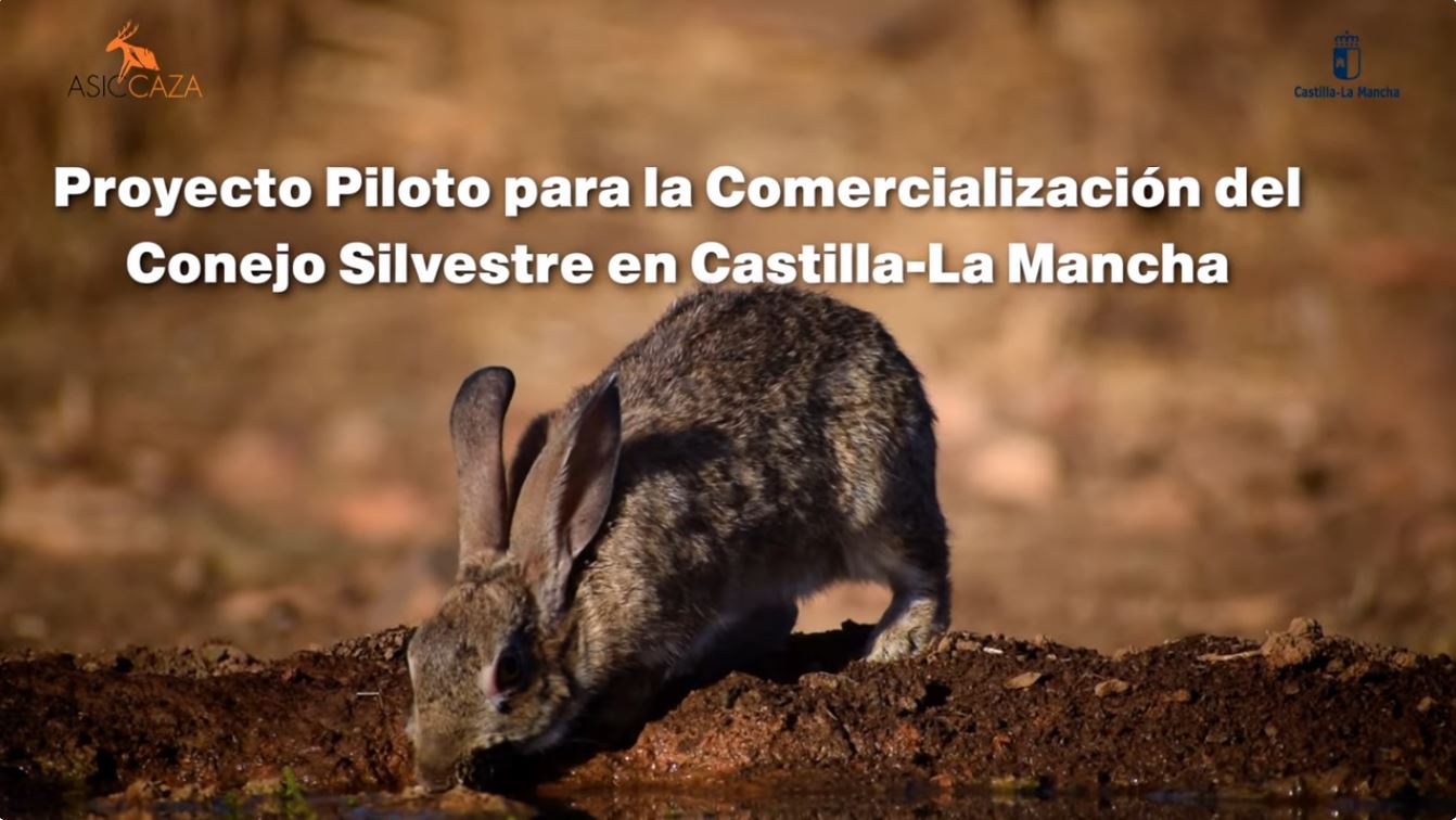 Proyecto para la comercializacion del conejo en trofeo caza y conservación
