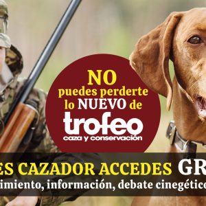 perro + cazador en trofeo caza y conservación