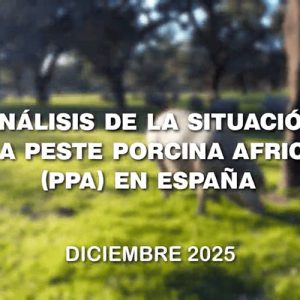 Estudio de la peste porcina en españa en Trofeo caza y conservación