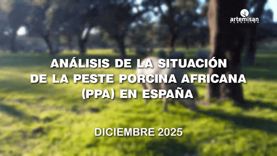 Estudio de la peste porcina en españa en Trofeo caza y conservación