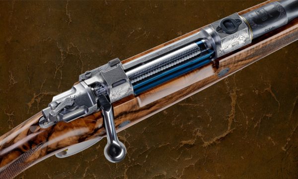 Armas y municiones en trofeo caza y conservación