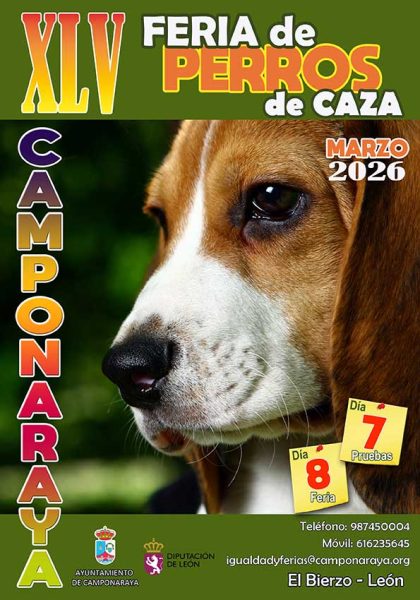 Feria de perros de caza en Camponaraya en Trofeo caza y conservación