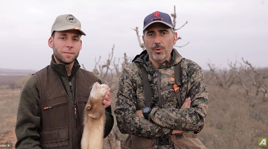 Caza de conejos con hurón en Trofeo caza y conservación
