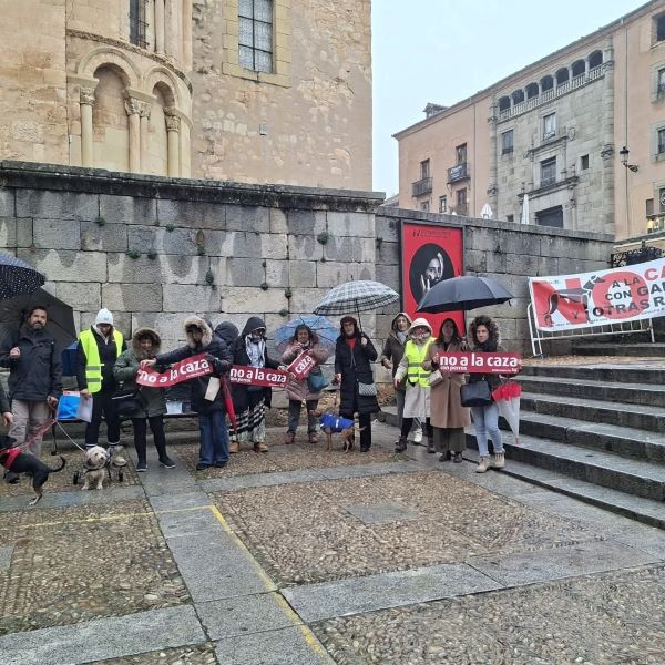 Noticias Contra la caza en trofeo caza y conservación