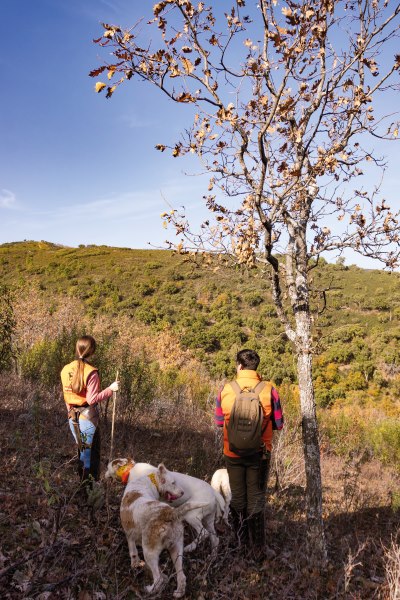Portones y a montear en trofeo caza y conservación
