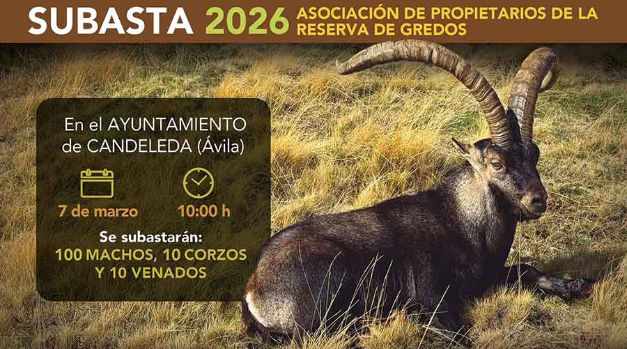 Subasta de Gredos 2026 en Trofeo caza y conservación (002)