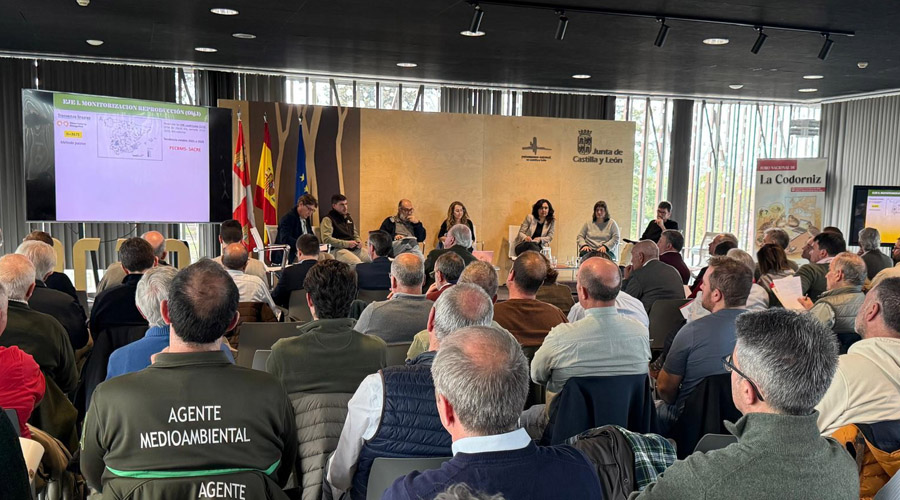 Debate sobre el futuro de la codorniz en el Foro Nacional de Valladolid_Trofeo caza