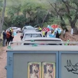 condena por interrumpir una monteria en trofeo caza y c onservación
