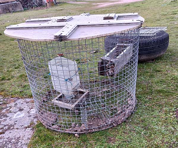 Comedero trampa de conejos en Trofeo caza y conservación