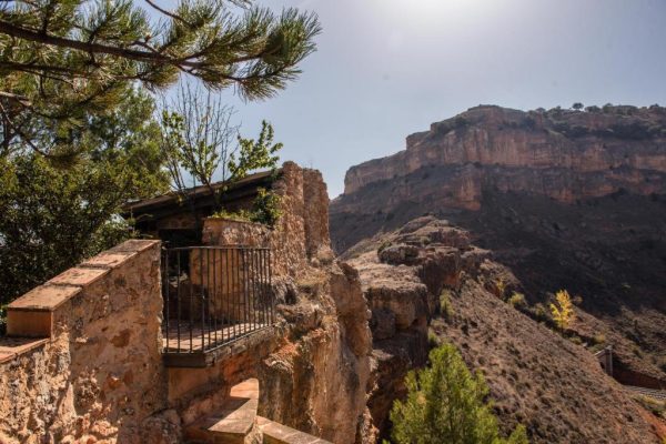 Entorno cinegético en Somaén con Trofeo caza y conservación