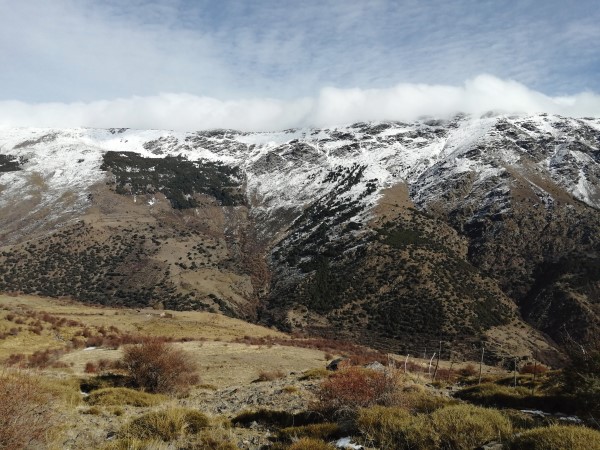 Paisajes en trofeo caza y conservación