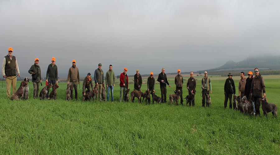 Participantes de la prueba del perdiguero de Burgos en Trofeo caza y conservación