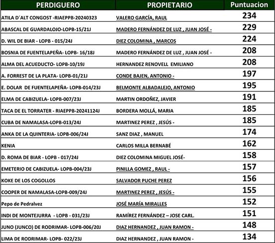 Prueba perdiguero de burgos para el campeonato de España en Trofeo caza y conservación