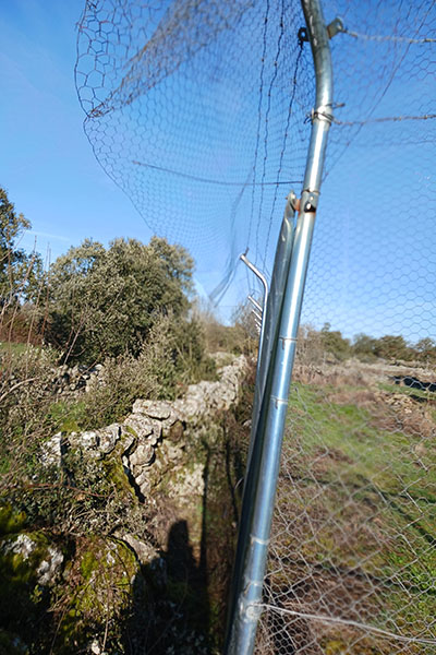 Valla de cerramiento del segundo cercado en trofeo caza y conservacion