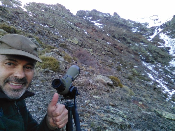 rececho de machos monteses en trofeo caza y conservación