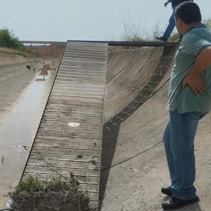 Ahogamiento de animales en los canales de Calanda-Alcañiz en Trofeo caza y conservacion