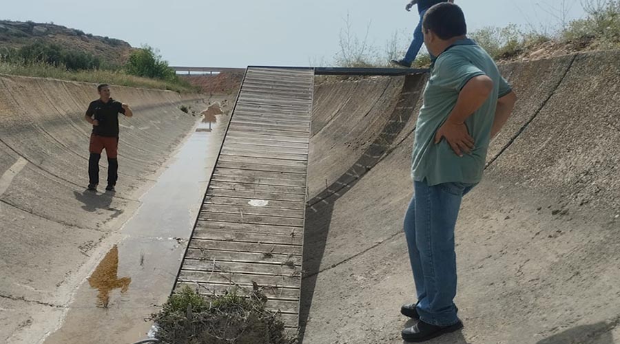 Ahogamiento de animales en los canales de Calanda-Alcañiz en Trofeo caza y conservacion