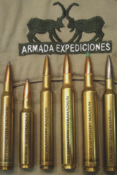 Dentro del conocido comercialmente como calibre .300 hay muchos cartuchos diferentes. Todos utilizan la misma bala de 308 milésimas de pulgadas, pero los casquillos son totalmente diferentes y nunca intercambiables. 