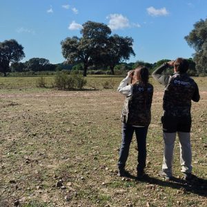 Campaña de censos de tórtola y codorniz en el Observatorio Cinegético en Trofeo caza y Conservacion