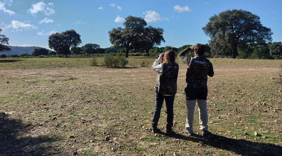 Campaña de censos de tórtola y codorniz en el Observatorio Cinegético en Trofeo caza y Conservacion