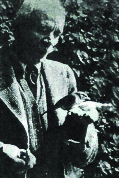 Jim Corbett en sus últimos años en Kenia, donde consiguió amaestrar a unos pajaritos que venían a comer en sus manos.