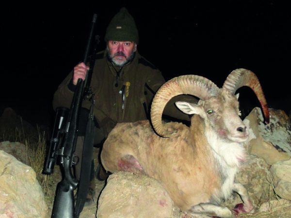 Mucha gente sólo mira las prestaciones balísticas de un cartucho, olvidando las dimensiones, peso y tamaño del rifle que lo dispara. Este .30-378 Weatherby es casi imposible de superar balísticamente. Pero es un rifle muy largo, muy pesado, con muy mal balance y muy muy difícil de disparar.