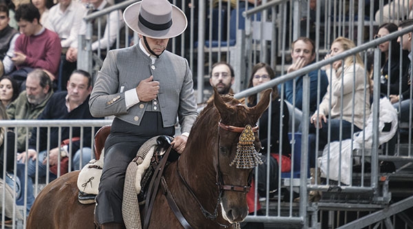 Caballo Sandalio en Trofeo caza y conservacion