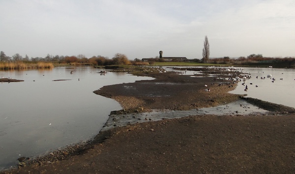 Centro Slimbridge
