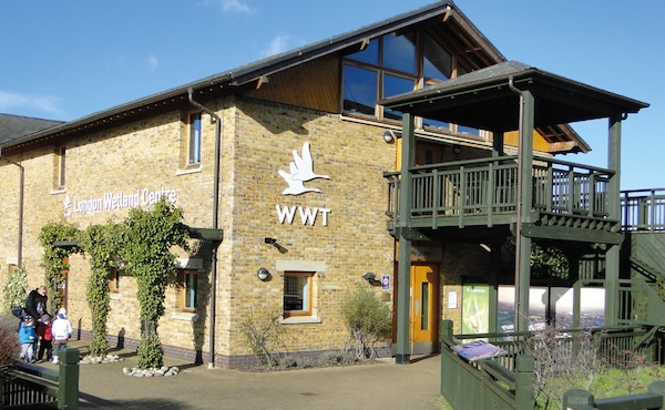 Centro WWF de Londres