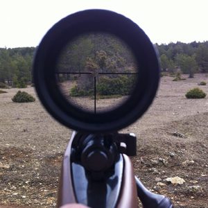 Claves para un buen disparo en rececho en Trofeo caza y conservacion