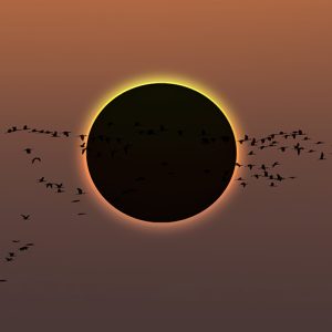 Eclipse de luna en Trofeo caza y conservacion