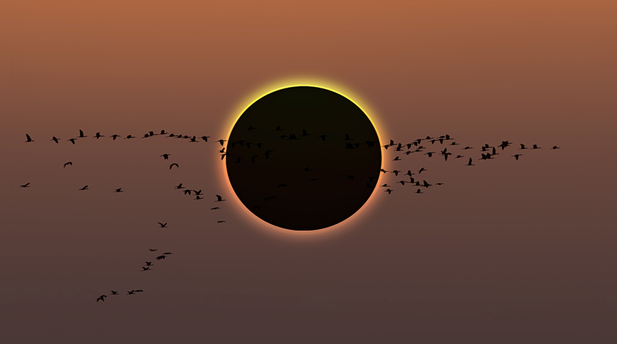 Eclipse de luna en Trofeo caza y conservacion