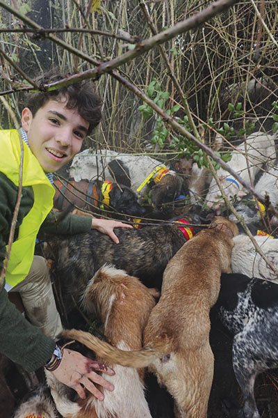 Lucas Pujazón Laviña y la rehala en una montería de jabalí en Trofeo caza y conservación