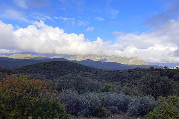 Paisaje en una monteria en Trofeo caza y conservacion