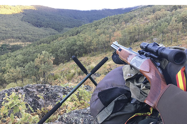 Puesto de gancho en montaña en Trofeo caza y conservación