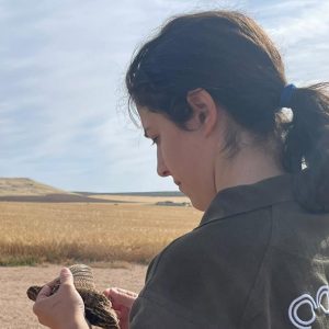 Científicos censando la codorniz en Trofeo caza y conservación