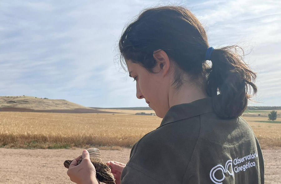 Científicos censando la codorniz en Trofeo caza y conservación