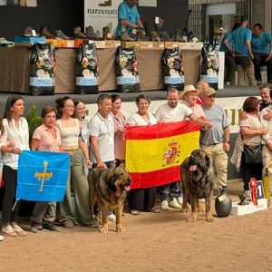 Perros de rastro en Narcenatur con Trofeo caza y conservacion