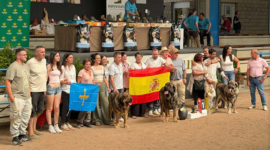 Perros de rastro en Narcenatur con Trofeo caza y conservacion