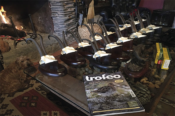 Foto de sarrios en revista trofeo caza y conservacion