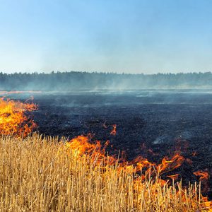 Incendio en la revista de trofeo caza