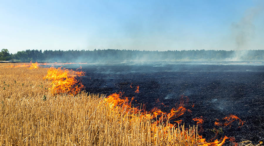 Incendio en la revista de trofeo caza
