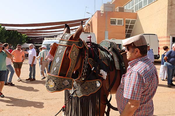caballo feria en revista trofeo caza
