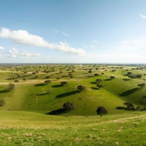 Campos de Extremadura en Trofeo caza y conservacion