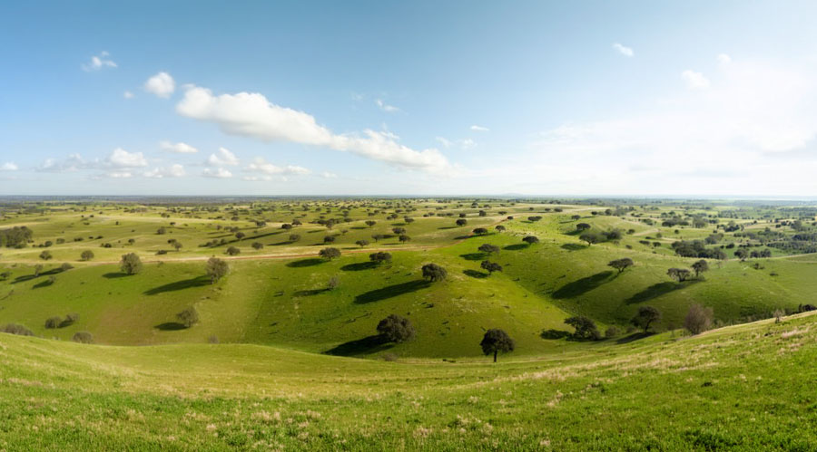 Campos de Extremadura en Trofeo caza y conservacion