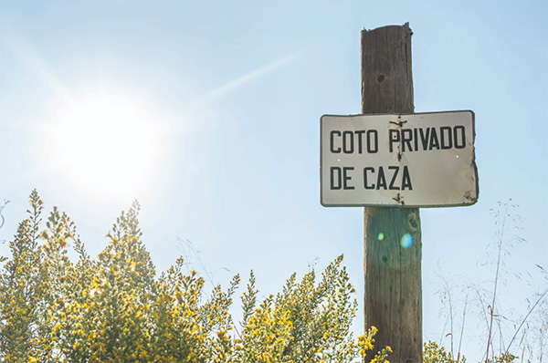 coto de caza en revista trofeo