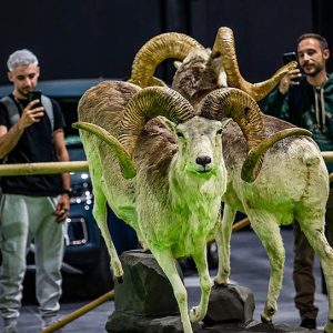 fercatur en revista trofeo caza