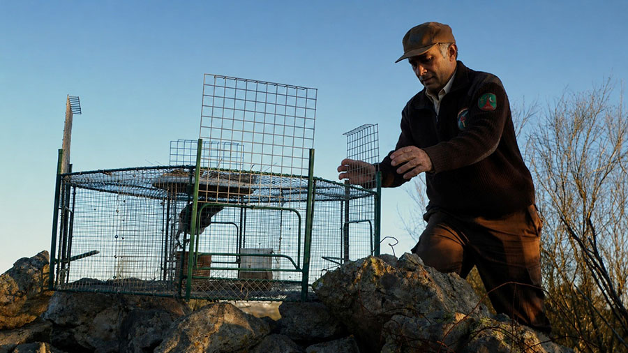 Hombre en el campo en revista trofeo caza