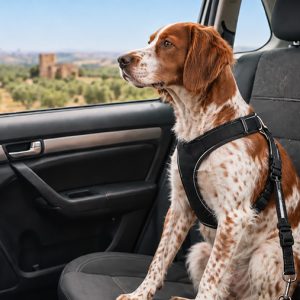 perro de caza en el coche en revista trofeo caza